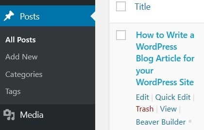 How to Write a WordPress Blog Article for your WordPress Site